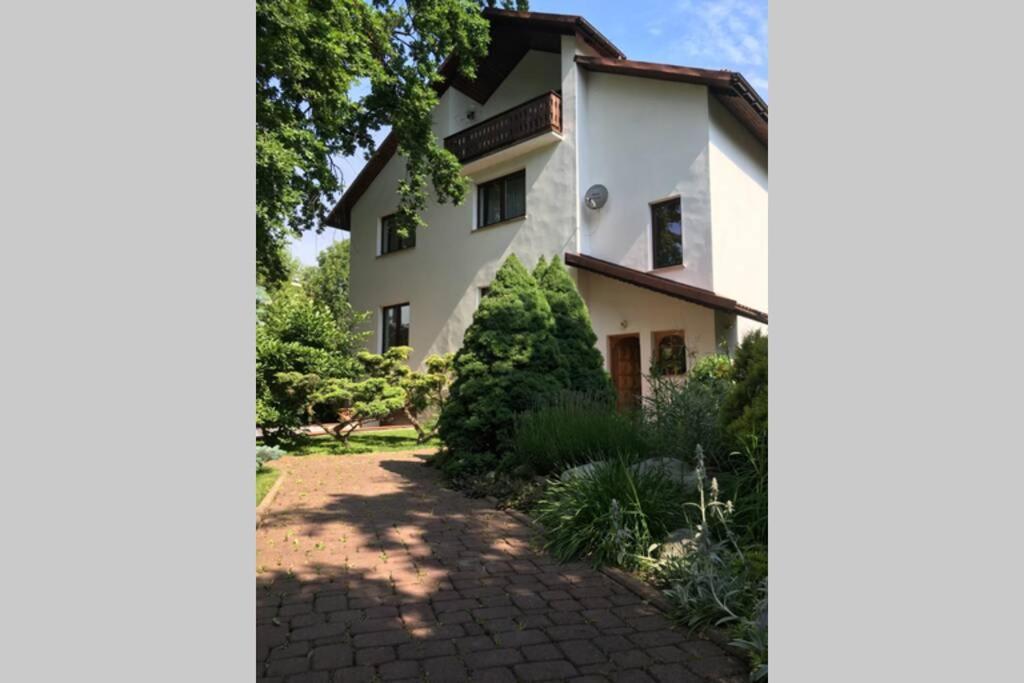 Hidden Gem Garden Apartman Krakkó Kültér fotó